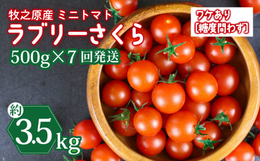 訳あり ミニ トマト フルーツ トマト ラブリーさくら うまたま 予約 受付 500g × 7回 発送 計 3.5kg 選べる 容量 発送 回数 国産 野菜 フルーツ 甘い 静岡県 牧之原市 山本農園