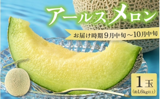 【先行予約】秋 アールスメロン 1玉（約1.6kg以上）青肉品種 高級メロン！ ／ マスクメロン 大玉 果物 フルーツ ギフト 農家直送 ※2025年9月中旬以降発送 [aw065-a008]