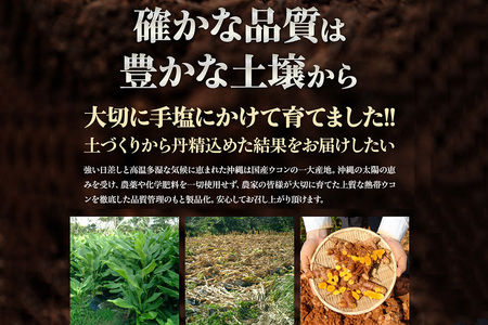 【金秀バイオ】沖縄県産 熱帯 ウコン 90粒 3袋 セット 90日 分 (約 3ヶ月 分) サプリ サプリメント 熱帯ウコン 春ウコン 紫ウコン 栽培期間中農薬・化学肥料不使用 クルクミン ビタミンC
