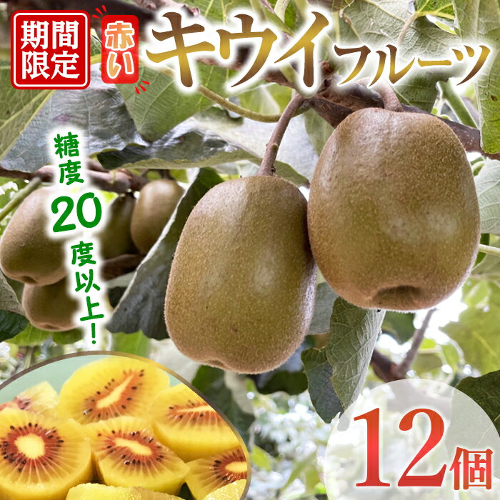 【ふるさと納税】【先行予約】茨城県産 あかいキウイ 化粧箱12個入り キウイ キウイフルーツ 果物 フルーツ 青果物 【こばしファーム】【ho1549】