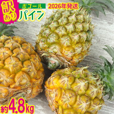 【ふるさと納税】【2026年発送】訳ありパイン 4～8玉 約4.8kg（ボゴールパイン） パイン パイナップル ぱいなっぷる ボゴール 訳あり 訳アリ 不揃い 家庭用 国産パイン パインアップル スナック ちぎって食べる 夏限定 トロピカル ジューシー フレッシュ 南国 フルーツ