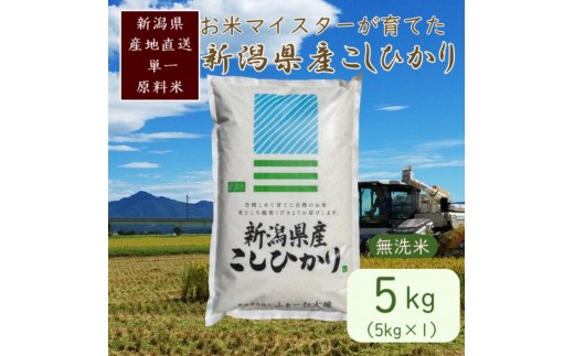 
            令和7年産 お米マイスターが育てた上越産コシヒカリ5kg(5kg×1)無洗米 [№5361-0823]
          