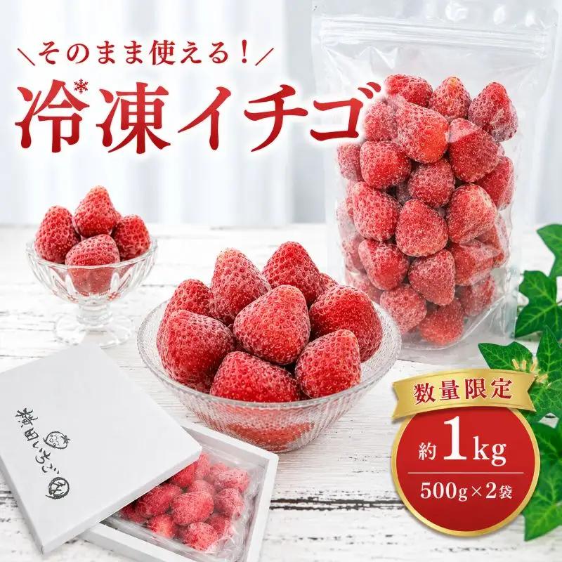限定100個 冷凍とちあいか 1kg |  いちご スムージー デザート ヨーグルト