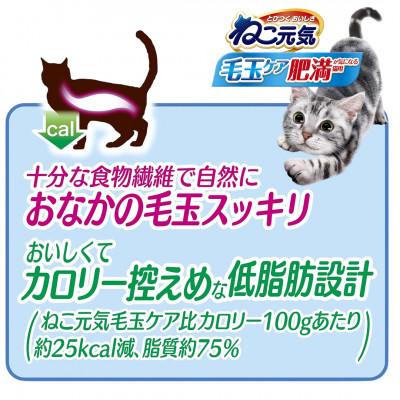 ふるさと納税 上里町 ねこ元気 毛玉ケア 肥満が気になる猫用 まぐろ・チキン・緑黄色野菜入り 1.8kg×6袋 国産 |  | 01