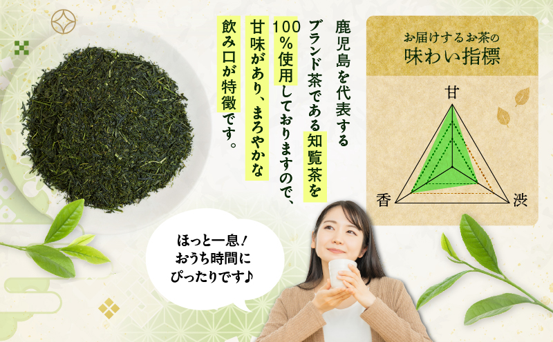 煎茶ティーバッグ 15個入り（5袋セット）　K346-005_03