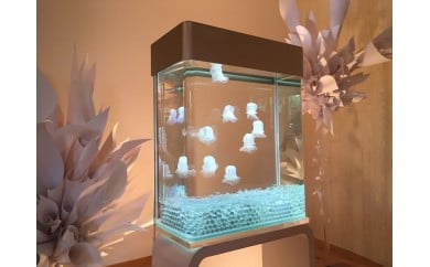 浮遊体アート＜人工クラゲ＞水槽インテリア　アート　オブジェ　アート　オブジェ　アート　オブジェ　アート　オブジェ　アート　オブジェ　A-17  奈良 なら