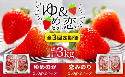 【先行予約】【全3回定期便】イチゴ1kg 食べ比べ 「ゆめ恋セット（ゆめのか・恋みのり ）」（250g×4パック）【2026年2月以降順次発送】《壱岐市》【蒼花】 [JEO003] いちご イチゴ 苺 フルーツ 果物 ゆめのか 恋みのり セット 食べ比べ 冷蔵 あまおう 45000 45000円