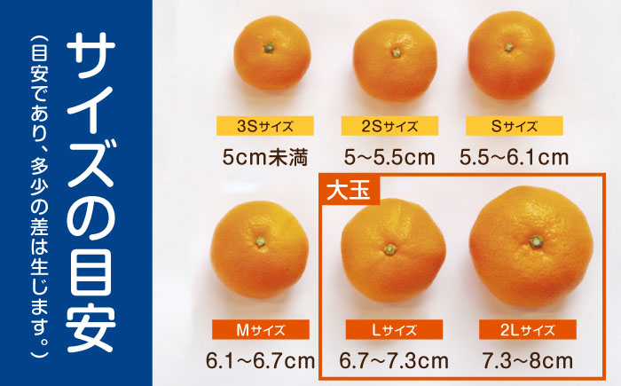 〈1週間以内に発送〉伊木力みかん (大玉) 5kg / みかん ミカン 蜜柑 柑橘 フルーツ ふるーつ 果物 くだもの / 諫早市 / 山野果樹園 [AHCF007]