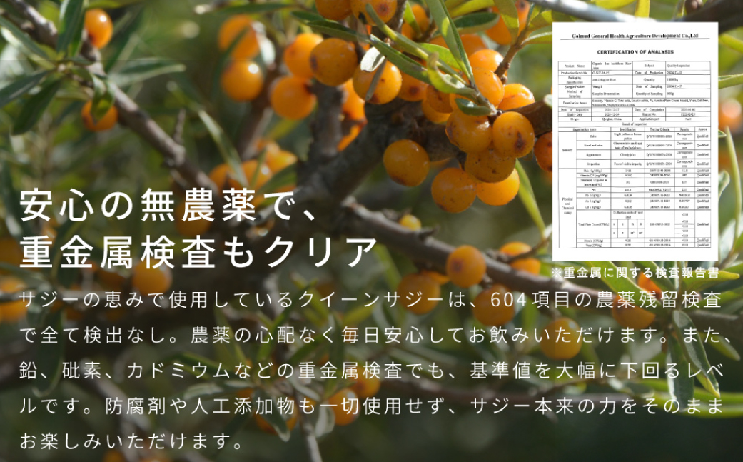 サジーの恵み 900ml【136024】 サジー ジュース ドリンク マヌカハニー 飲料 鉄分 栄養素
