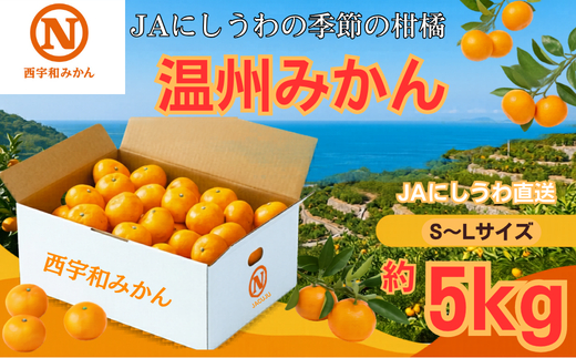 【先行受付】JAにしうわ直送　にしうわ温州みかん　約5kg【C08-97】YWTV050