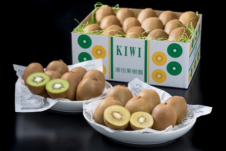 N-215 体が喜ぶ☆キウイフルーツ 食べ比べセット 各10～16個 (重量：1.7kg～2kg) ヘイワード 緑色 東京ゴールド 黄色 ２種 食べ比べ セット 小分け袋(スタンドパック) 6袋付き 
