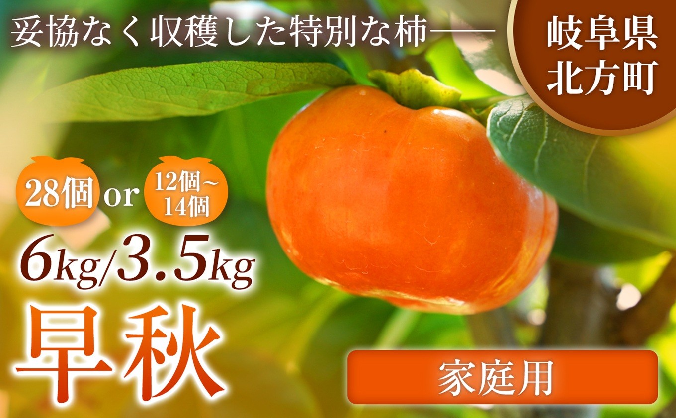 
                  【訳あり品】 早秋 柿 1箱 ( 選べる容量 ) 先行予約 令和8年10月中旬順次発送 |【希少柿を贅沢に楽しむ】 柿 早秋 フルーツ 果物 完熟 国産 国産 季節の果物 家庭用 自宅用 訳 あり わけあり 加工用 料理用 大容量 岐阜県 本巣郡 北方町
                