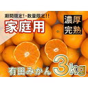 【ふるさと納税】家庭用 約3kg 有田みかん 北真農園 濃厚完熟 お試しサイズ ORYY推奨 | フルーツ 果物 くだもの 食品 人気 おすすめ 送料無料 ORYY推奨