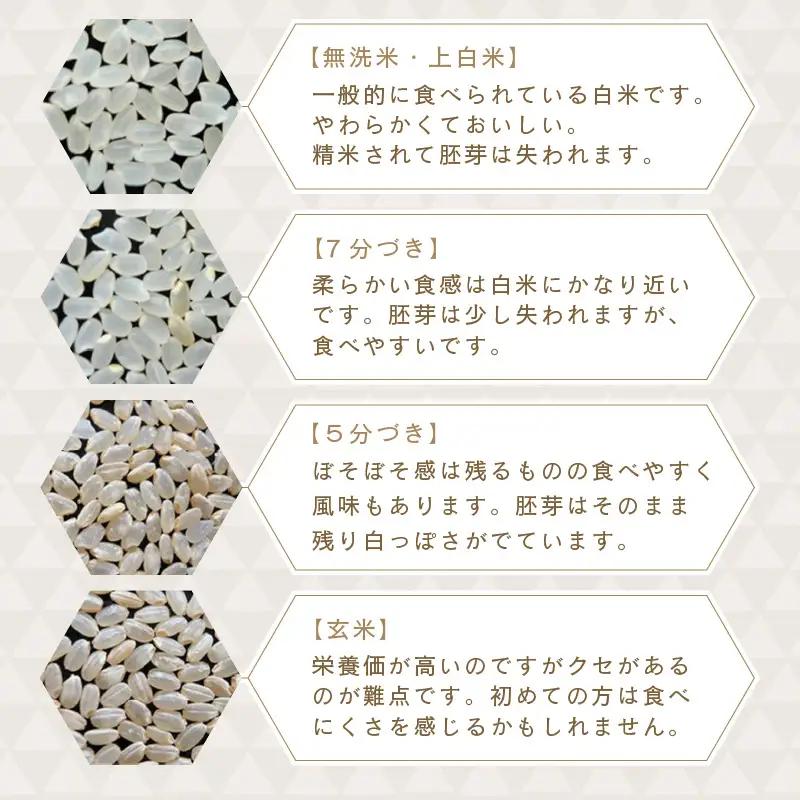 先行予約 令和8年産・新米 コシヒカリ 5kg 上白米 福井県産コシヒカリ  [A-0267_01]