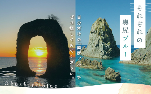 【2024年度先行予約】北海道奥尻産「キタムラサキウニ」100g (塩水パック)【期日指定不可】 OKUH016