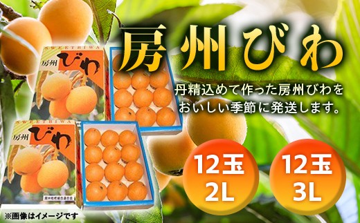 
            【2026年度先行予約】 房州びわ 24玉（3Lサイズ12玉と2Lサイズ12玉） ／ ビワ 枇杷 大玉 産地直送 千葉県 特産 フルーツ 果物 びわ F22X-007
          