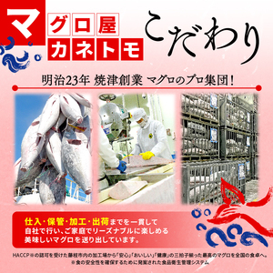 南マグロ 中トロ 訳あり 約400g まぐろ 【fgd04】
