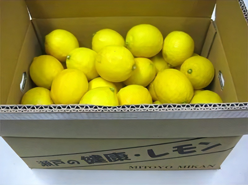 M02-0130_瀬戸内レモン 約4.5kg