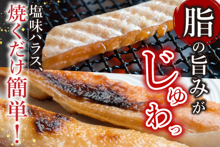 塩サーモンハラス220g×10パック A-09021