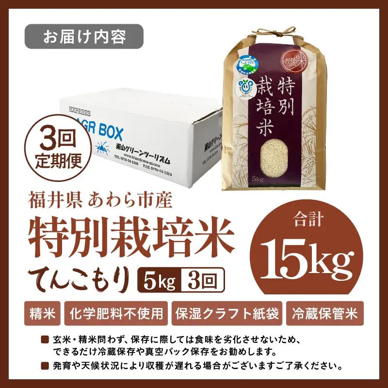 【先行予約】【令和8年産】定期便 ≪3ヶ月連続お届け≫ 化学肥料不使用 てんこもり 精米 5kg × 3回（合計15kg） / 白米 米 福井県あわら市産 美味しい 特別栽培米 減農薬 安心な米 旨味