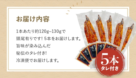 国産うなぎ蒲焼（5本）タレ付き /  和歌山 田辺市 国産 国産うなぎ 国産鰻 うなぎ 鰻 鰻丼 うな丼 土用の丑の日  【ots018】