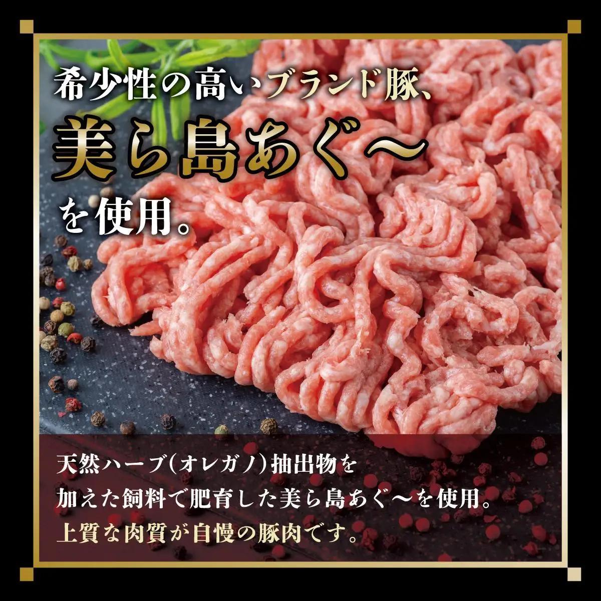 ハンバーグ 120g × 4個（480g）冷凍【美ら島あぐ～】   