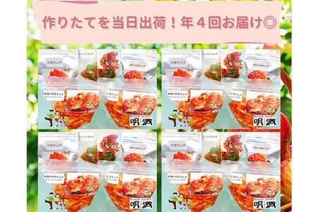 【年４回定期便】 40年愛される旨辛絶品！手作りプレミアム・キムチセット2.8kg C を年４回お届け！