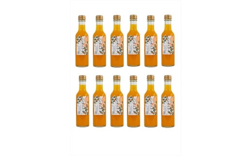 小田原産江之浦みかんスパークリング果汁入り飲料果汁５０％２００ml１２本