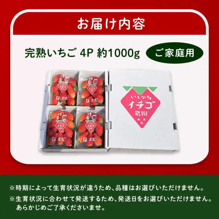【先行予約】完熟 いちご 4パック / 恵那市 / クリエイティブファーマーズ [AUAH020] いちご