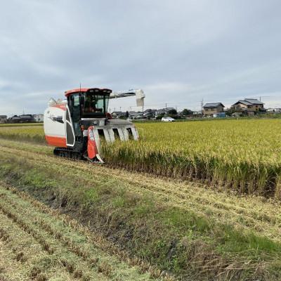 ふるさと納税 西尾市 【令和7年産】＜万燈米＞【こしひかり 4.5kg×2袋 】・I027-20 |  | 01