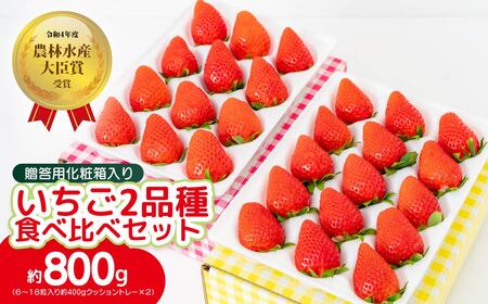 いちご 2品種食べ比べセット 計800g 農林水産大臣賞受賞 2027年 先行予約 |いちご