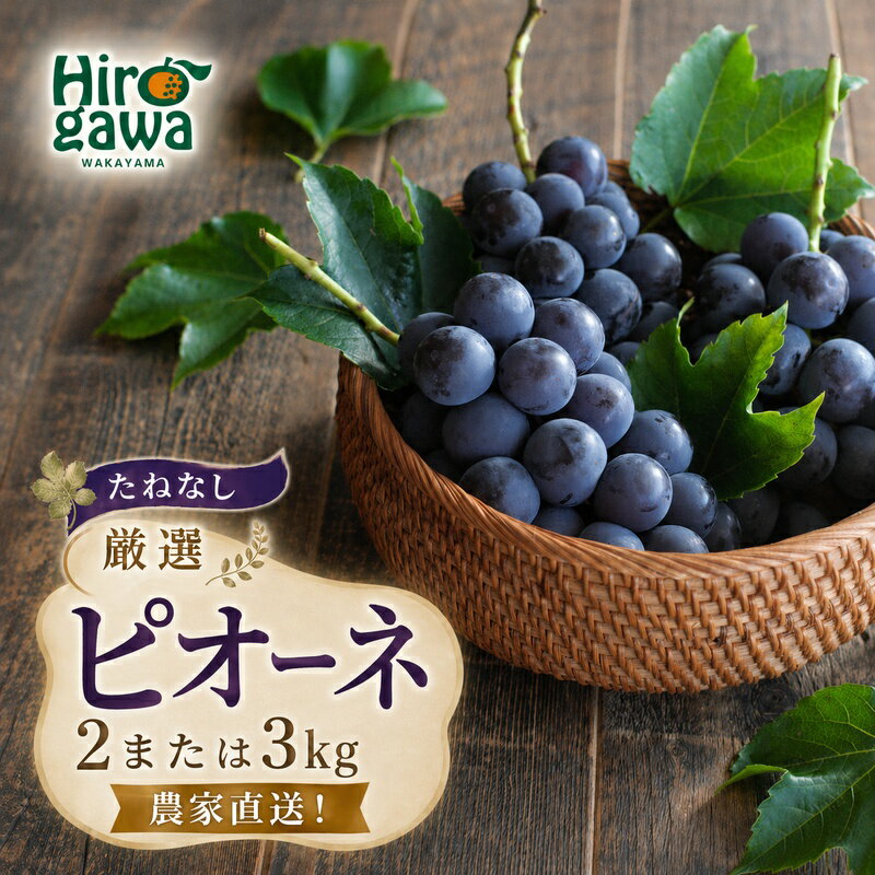 【ふるさと納税】 ピオーネ たねなし 厳選 / ぶどう 種無し 甘い 高級 和歌山 2kg 3kg ※2026年8月中旬～2026年9月中旬に順次発送 ※北海道・沖縄・離島への配送不可 //hokaf