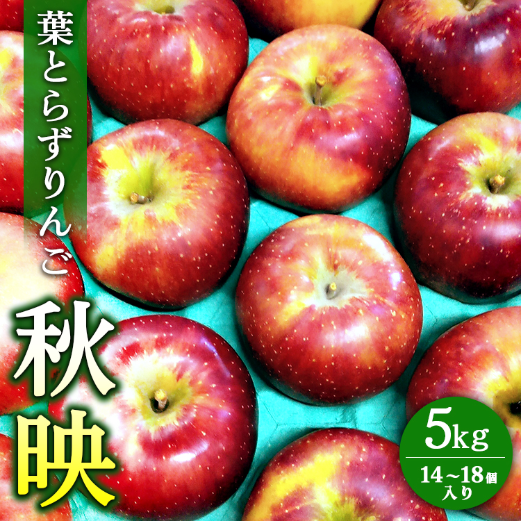 葉とらずりんご【秋映】5kg 14個～18個入り【9月30日受付終了】 林檎 リンゴ フルーツ 果物 数量限定 ※2025年9月下旬～10月上旬頃に順次発送予定 ※離島・沖縄への配送不可