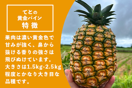 《2024年6月以降順次発送》香りに溺れる！？ 完熟の極 てとの黄金パイン2個セット【 沖縄 石垣 ゴールデン パイン パイナップル 完熟 セット フルーツ デザート 】 TF-25