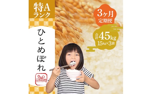 
										
										【3ヶ月定期便】いとうファームの令和6年産「ひとめぼれ」15kg ※2024年10月下旬より順次発送予定
									