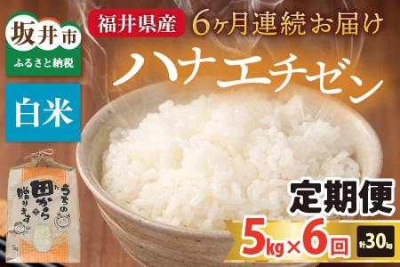 【先行予約】【令和8年産・新米】定期便 ≪6ヶ月連続お届け≫ ハナエチゼン5kg×6回 計30kg ～本原農園からまごころコメて～（白米）【2026年9月上旬以降順次発送予定】 [F-8910_01]