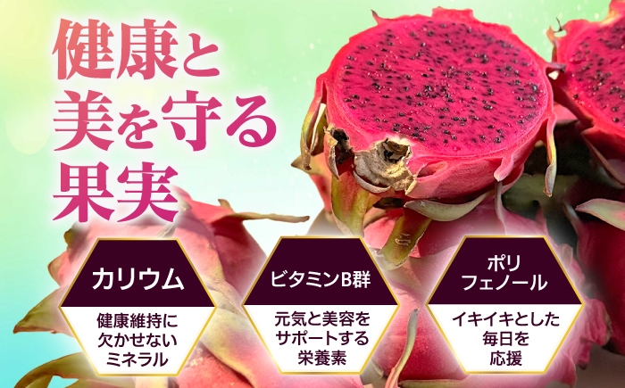 フルーツ ふるーつ Fruit 赤 果肉 レッド ピタヤ 青果 果実 国産 産地直送 小玉 果物 火龍果 トロピカル くだもの