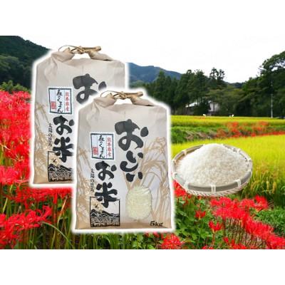 ふるさと納税 山鹿市 【先行予約】熊本県産お米10kg箱(5kg×2袋)