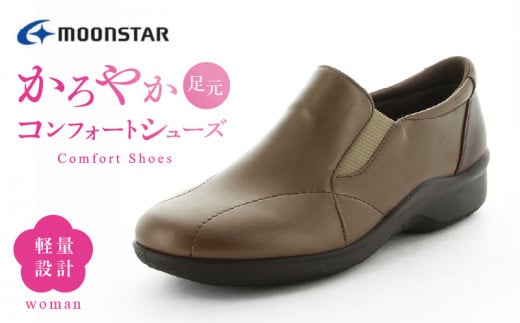 EVE 259　MブラウンC（24.0）_Lf017-6