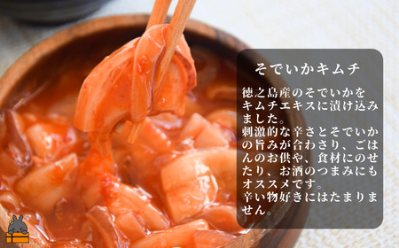 徳之島の漁師が荒波で釣り上げたそでいか 3種盛り お刺身・いかキムチ・つけあげ （ ３つの美味しさ ソデイカ いか イカ ）