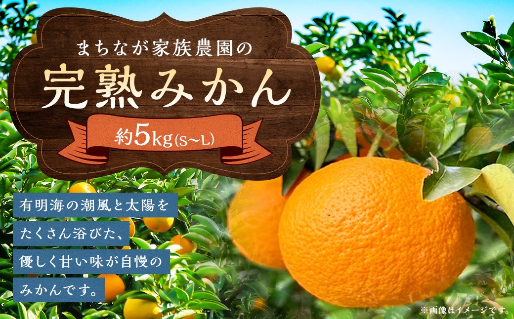 
                  まちなが家族農園の完熟みかん 5kg みかん ミカン 蜜柑 たらみかん 太良みかん 温州みかん 完熟みかん 甘熟 柑橘 国産 佐賀県産 太良町 こだわり 産地直送 贈答品 詰め合わせ 極甘 L51x1 【2026年10月下旬～2027年1月下旬発送予定】
                