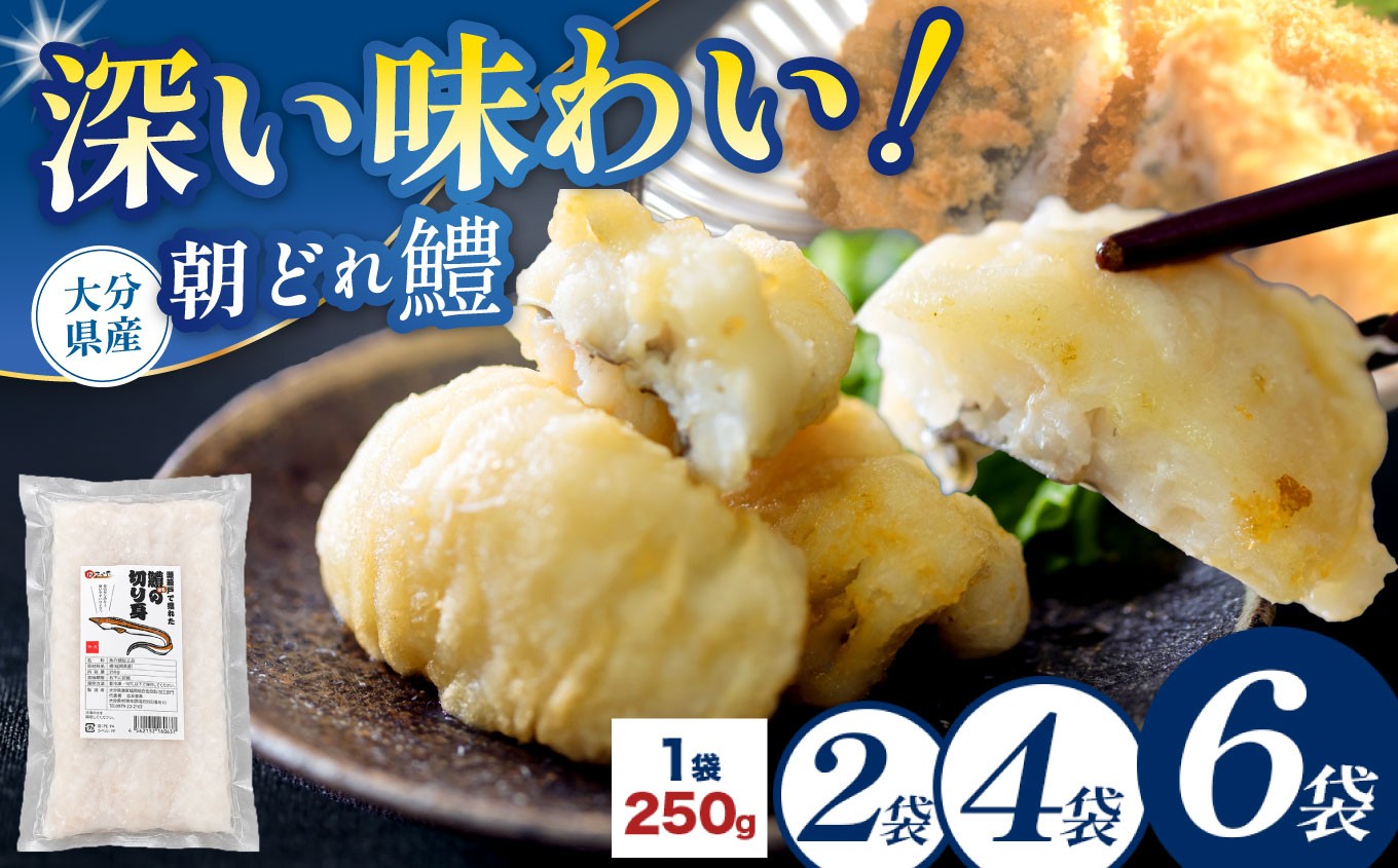 
                  【数量限定】鱧（はも）の切り身 選べる 内容量 250g × 2袋 / 4袋 / 6袋 | 魚 さかな サカナ 切り身 きりみ はも 鱧 小分け ハモ 魚の切り身 お鍋 水炊き フライ 天ぷら 冷凍 産地直送 中津産 九州産 大分県 中津市
                