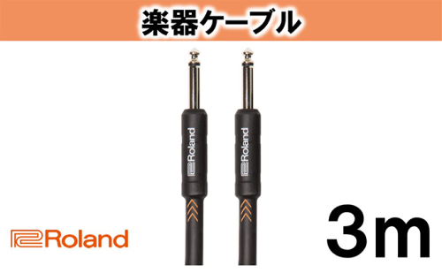 【Roland純正】楽器ケーブル 3m/RIC-B10【配送不可：離島】 雑貨 日用品