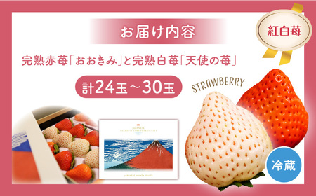 《2025年発送先行予約》【期間・数量限定】HOKUSAIGIFT宮崎完熟苺おおきみ・天使の苺紅白 いちご 果物 フルーツ