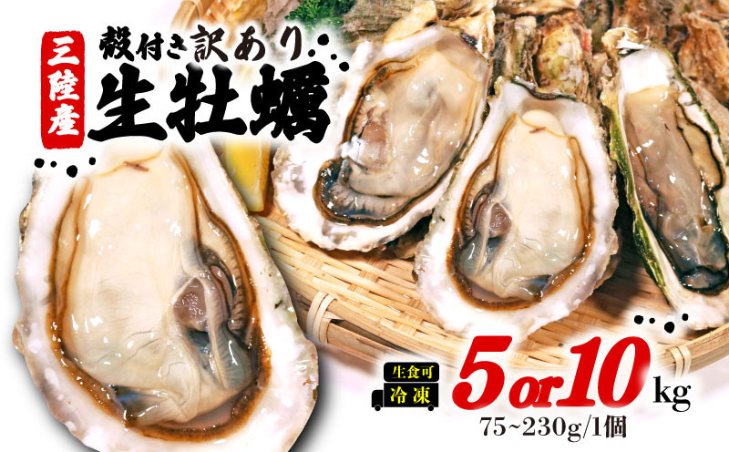 
訳あり 牡蠣 5kg/10kg（生食可) かき カキ 冷凍 岩手県産 殻付き 生食 生食用 訳あり わけあり 大きさ不揃い 不揃い 三陸 三陸産 株式会社國洋 岩手県 大船渡市
