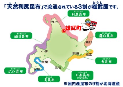 北海道雄武産 天然利尻昆布100ｇ×２【01101】