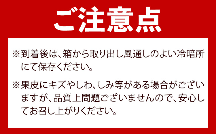 【先行予約】果肉ぷりぷり！ 完熟はるみ 約5kg 株式会社魚鶴商店 《2026年2月中旬-3月中旬頃出荷予定》 和歌山県 日高町 はるみ みかん ミカン 蜜柑 フルーツ 柑橘st-p
