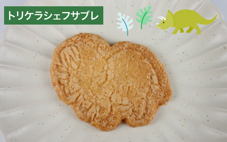 恐竜サブレ缶（大）【恐竜サブレ缶(草食恐竜) 】 [A-135006_02]