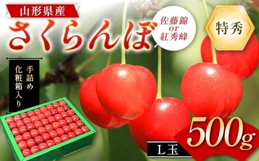 さくらんぼ (佐藤錦or紅秀峰) 500g L玉 特秀 手詰めギフト 山形県産 化粧箱入り 【令和8年度 先行予約】 FSY-2261