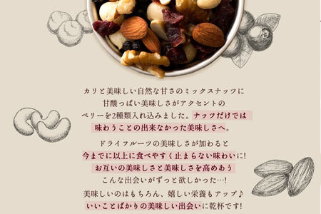 【ふるさと納税】 ミックスナッツ トレイルミックスナッツ 『焙煎ナッツとベリーのミックスナッツ 500g×毎月お届け(合計3回)』 [ 無塩 無添加 クランベリー ブルーベリー ドライフルーツ アーモ